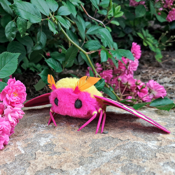 Cute baby Rosy Maple Moth toy