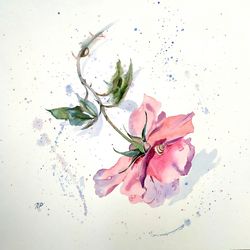 Rose Painting Floral original art 12 by 12 Red Flower watercolor square wall art Rose aquarelle by Natalia Plotnikova