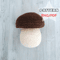 crochet-boletus-mushroom