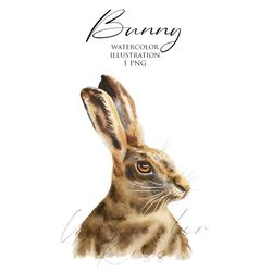 Watercolor illustration - Cute hare, rabbit, bunny clipart. DIGITAL DOWNLOAD. PNG