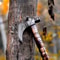 Military Survival Axe for sale