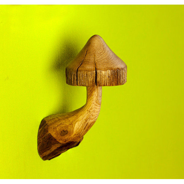 hanger mushroom.jpg