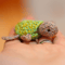 Turtle toy knitting pattern, cute knitted turtle, amigurumi pattern, small knitted gifts, animal knitting pattern, ebook 8.jpg