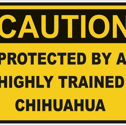 caution protected by a chihuahua warning sticker for laptop book fridge guitar motorcycle helmet toolbox door pc boat