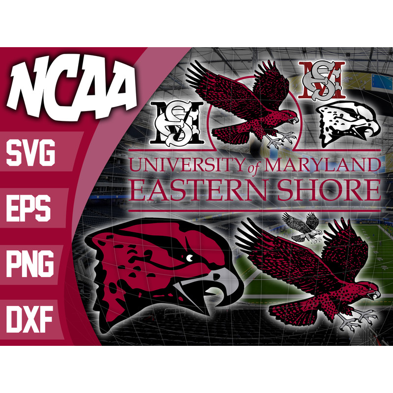 Maryland Eastern Shore Hawks.jpg