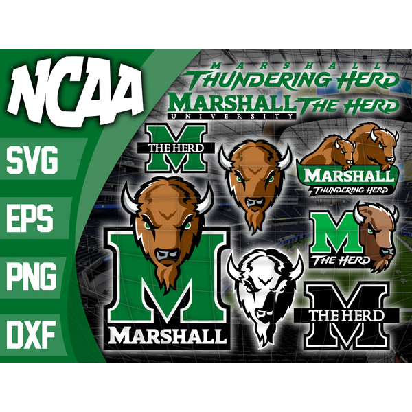 Marshall Thundering Herd.jpg