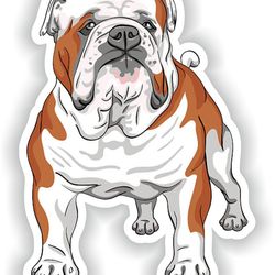 english bulldog sticker for bumper car van truck motorcycle helmet toolbox door pc boat