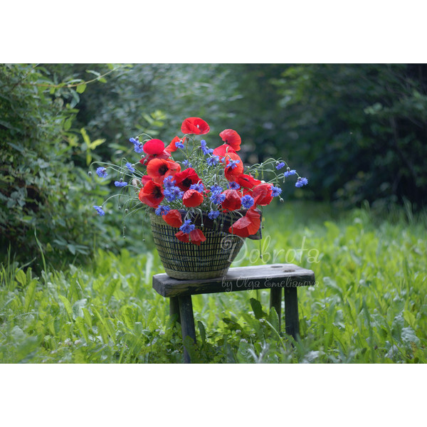 Poppies and cornflowers in a basket - printable poster