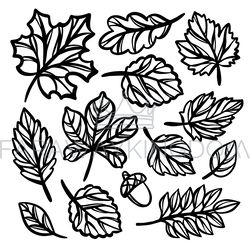 leaves autumn monochrome openwork vector illustration set