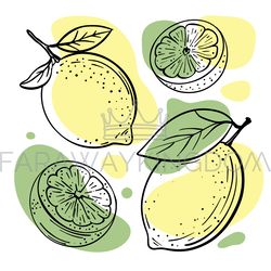 LEMON LIME Delicious Fruit Hand Drawn Vector Illustration Set