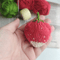Strawberry knitting pattern, red berry pattern, knitted berry, tutorial, knitting decor, amigurumi brooch, cute toy diy 2.jpg