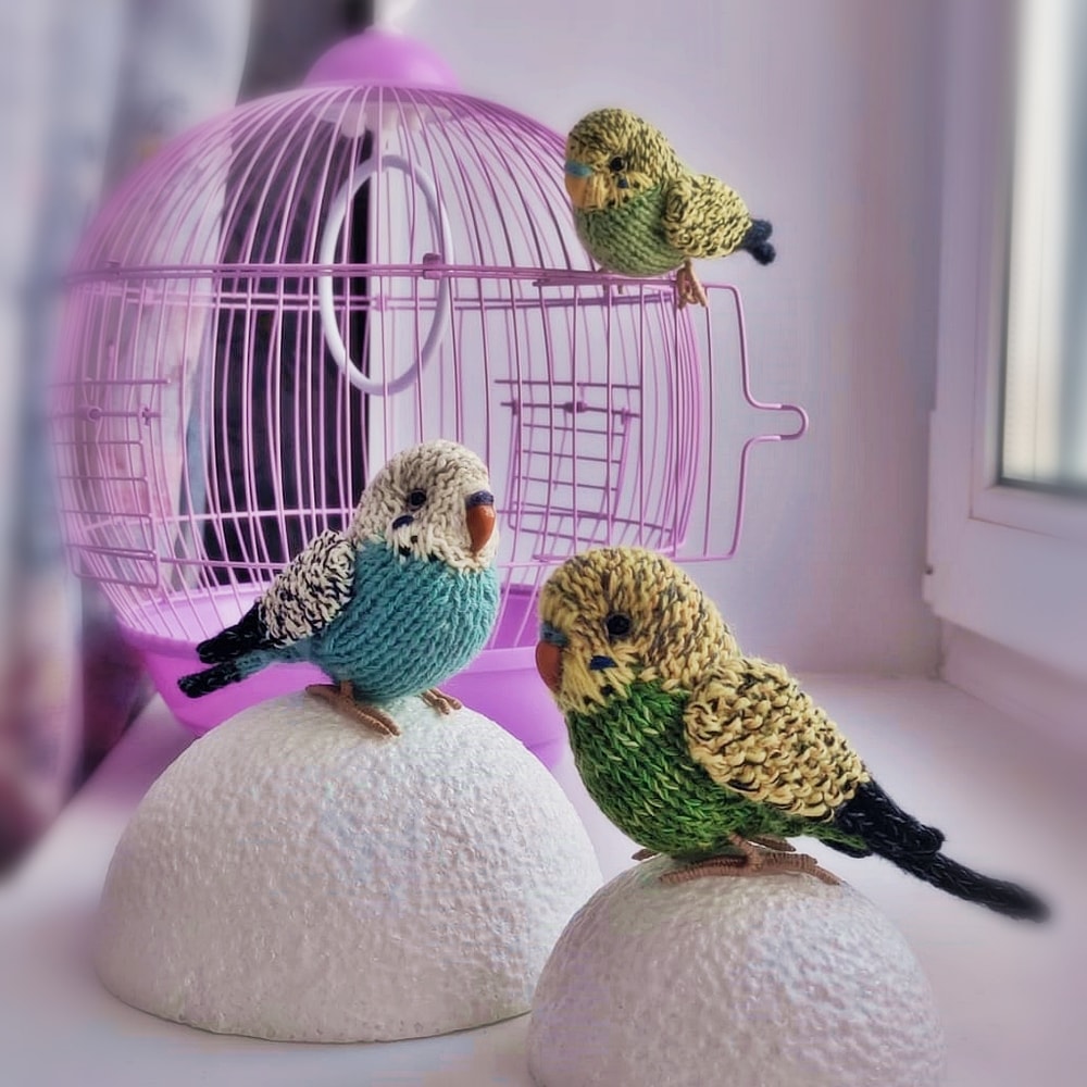 Budgie knitting pattern, budgerigar pattern, realistic toy parrot, knitted bird, amigurumi pattern, parakeet tutorial 4.jpg