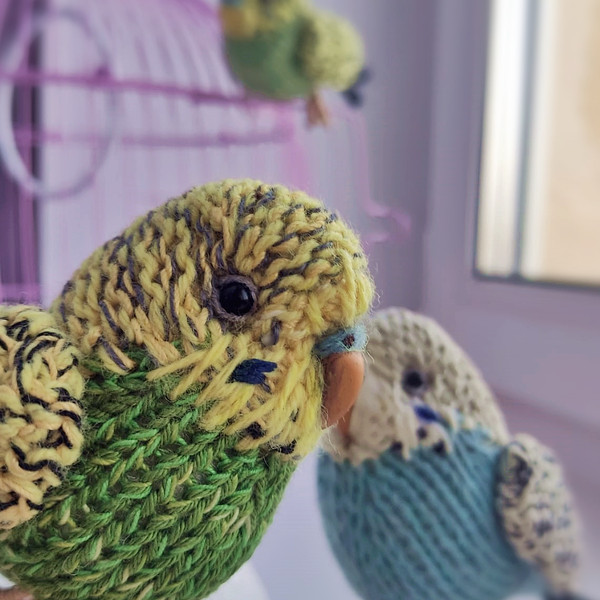 Budgie knitting pattern, budgerigar pattern, realistic toy parrot, knitted bird, amigurumi pattern, parakeet tutorial 10.jpg