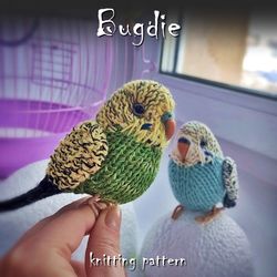 Budgie knitting pattern, budgerigar pattern, realistic toy parrot, knitted bird, amigurumi pattern, parakeet tutorial