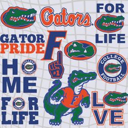 Gator pride svg, Gator pride Baseball Teams Bundle Svg, Gator pride NCAA Teams svg, png, dxf