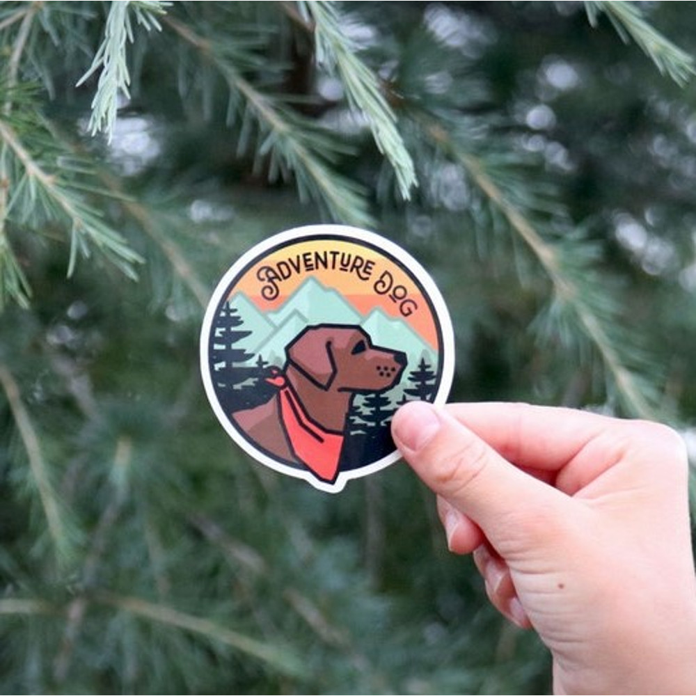 il_794xN.2432730106_ewul (1).jpg