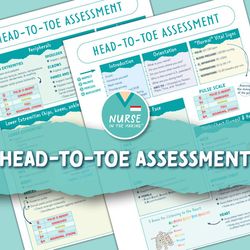 Head-To-Toe Assessment Guide | Nursing Students | Health Assessment Class (2 pages) | Digital Download