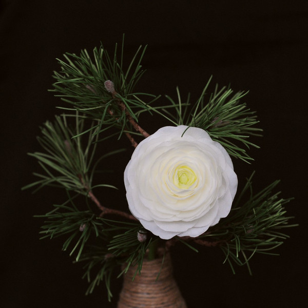 Floral-arrangement-with-white-ranunculus-flower-and-pine-branch-in-vase .jpg