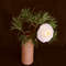 Floral-arrangement-with-white-ranunculus-flower-and-pine-branch-in-vase  (2).jpg