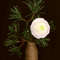 Floral-arrangement-with-white-ranunculus-flower-and-pine-branch-in-vase  (7).jpg