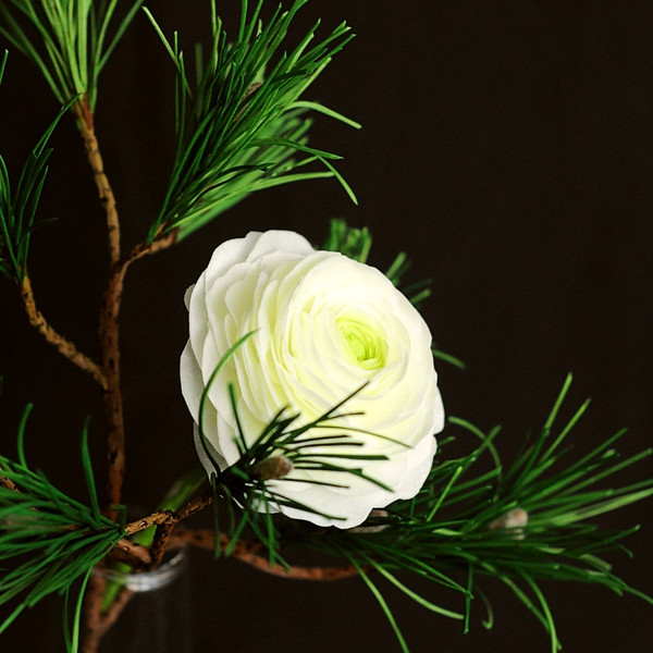 Floral-arrangement-with-white-ranunculus-flower-and-pine-branch-in-vase  (4).jpg
