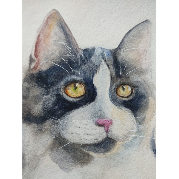 cat painting.jpg