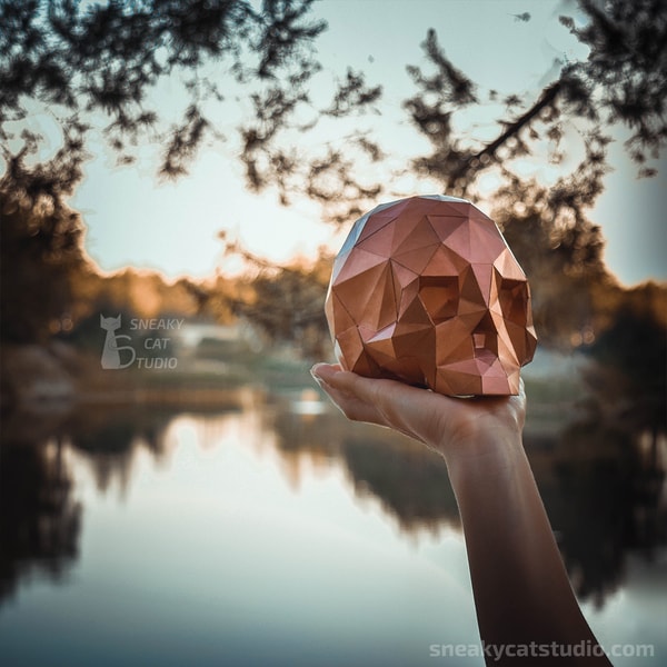Skull 3D Papercraft template Digital pattern for printing Inspire