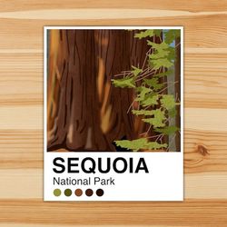 sequoia palette vinyl sticker