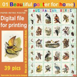 01 retro poster (big) australien birds