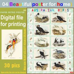 04 retro poster (big) australien birds