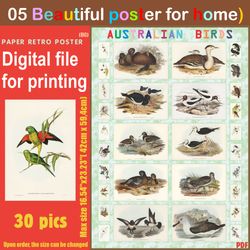05 retro poster (big) australien birds