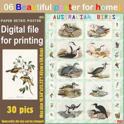 06 retro poster (big) australien birds