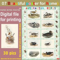 07 retro poster (big) australien birds