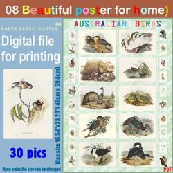 08 retro poster (big) australien birds