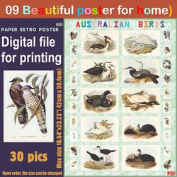 09 retro poster (big) australien birds