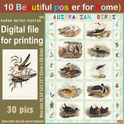 10 retro poster (big) australien birds