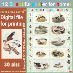 12 retro poster (big) australien birds