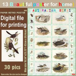 13 retro poster (big) australien birds