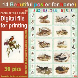 14 retro poster (big) australien birds