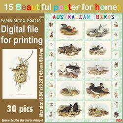 15 retro poster (big) australien birds