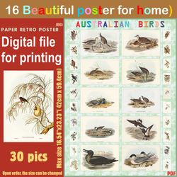 16 retro poster (big) australien birds