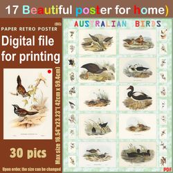 17 retro poster (big) australien birds