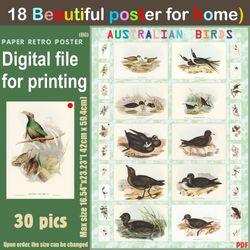 18 retro poster (big) australien birds