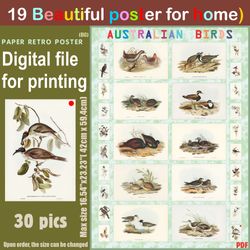19 retro poster (big) australien birds