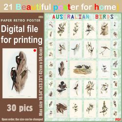 21 Retro poster (BIG) Australien BIRDS