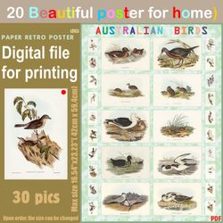20 retro poster (big) australien birds