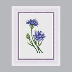 Cornflowers Cross Stitch Pattern - Blue Flowers Embroidery - DMC Cross Stitch Chart Needlepoint Pattern
