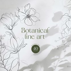 botanical line art, botanical leaves illustrations, clipart digital flower print, floral elements, spring flowers