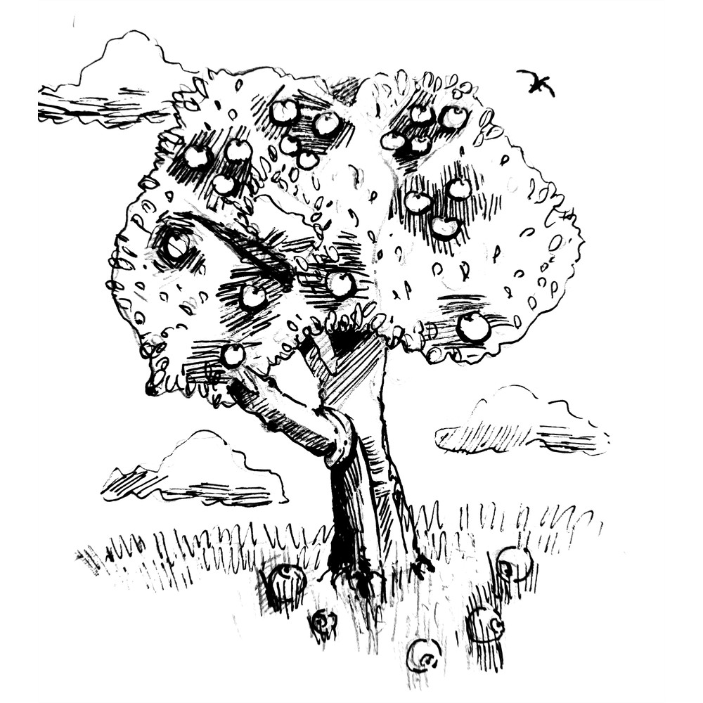 Apple tree with apples black and white graphics.png