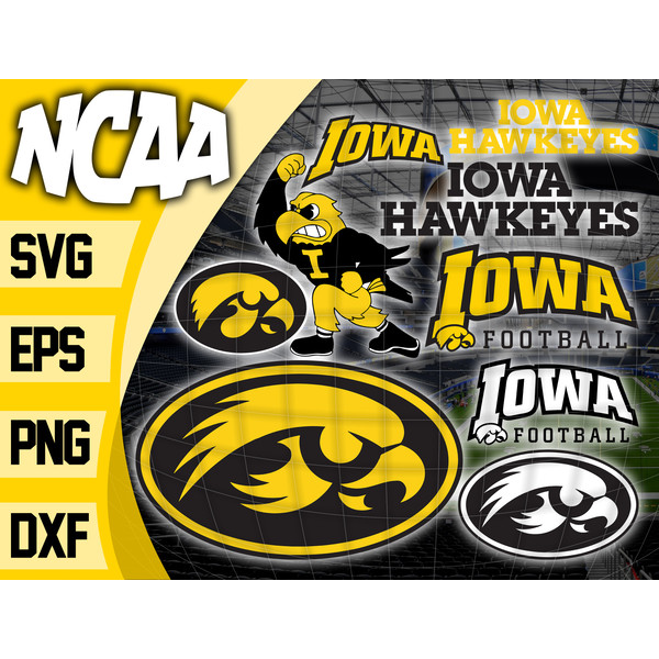 Iowa Hawkeyes.jpg